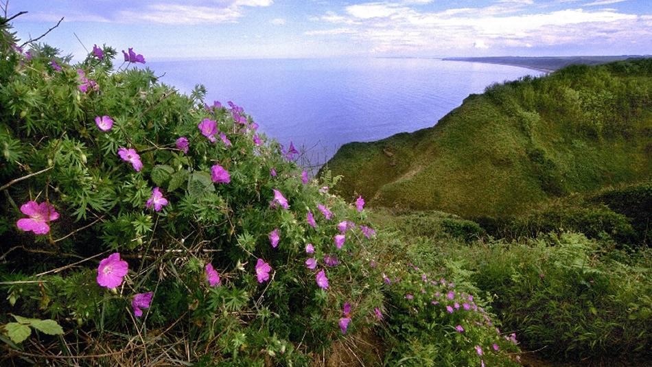 Durham Heritage Coast