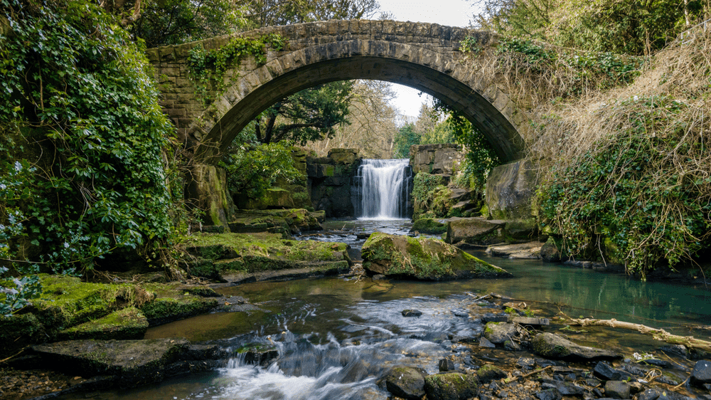 Jesmond Dene: Hidden Valley Trail